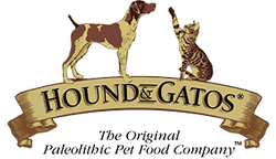 Hound and Gatos