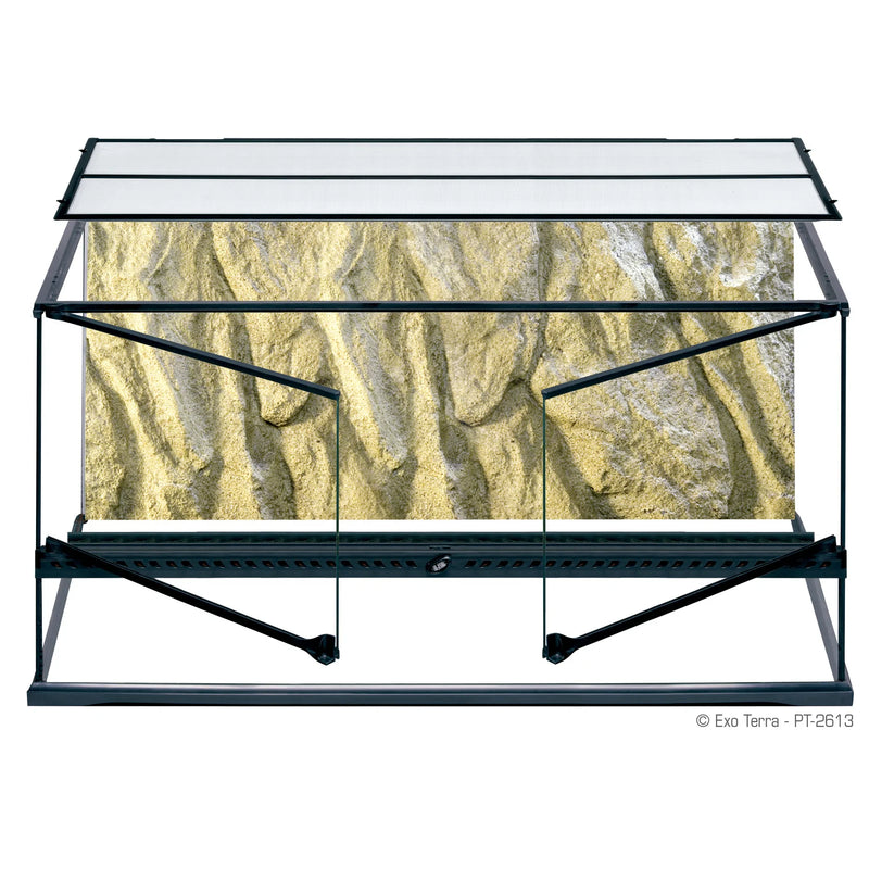 Exo Terra Glass Terrarium 36x18x18