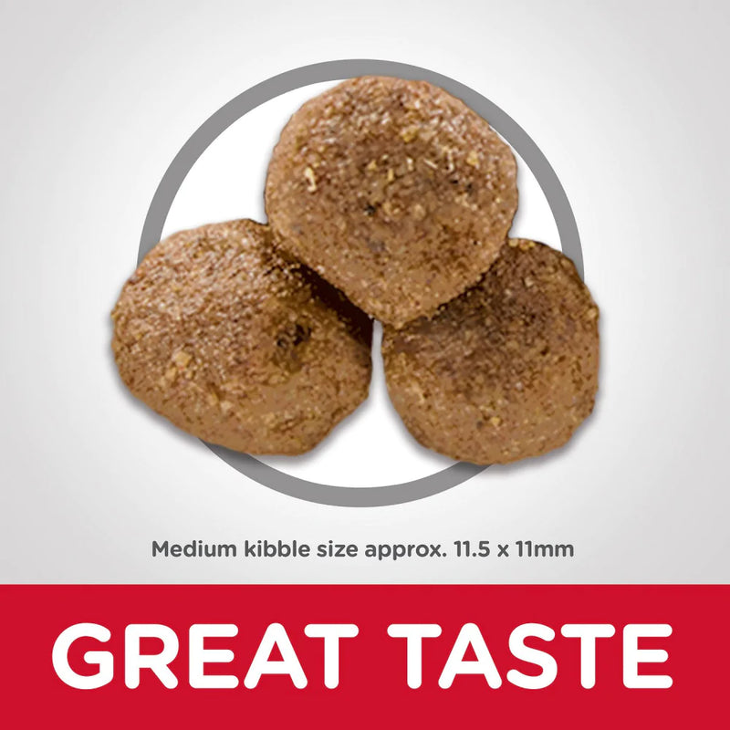 Hill's Science Diet Adult Lamb Meal & Brown Rice Recipe  Dry Dog Food