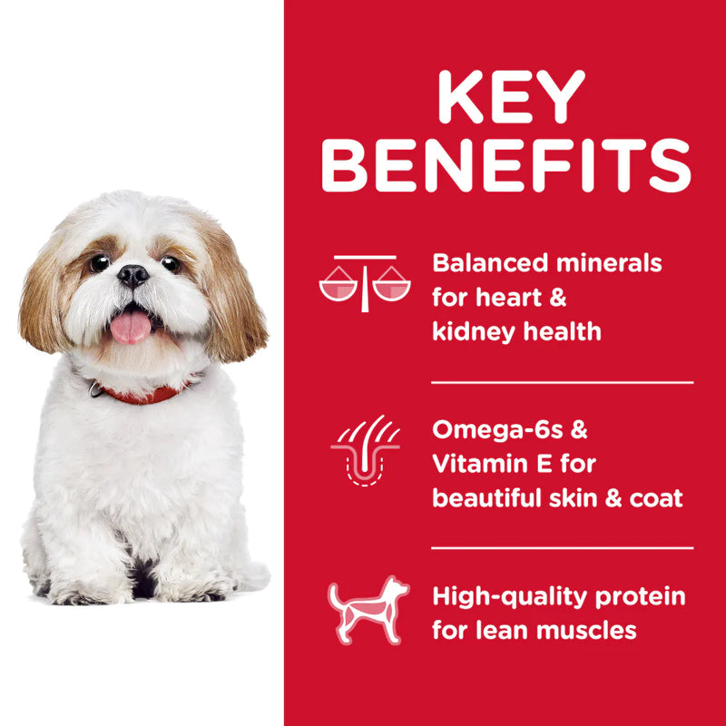 Hill's Science Diet Senior 7+ Small Bites Chicken Meal, Barley & Brown Rice Recipe Dry Dog Food