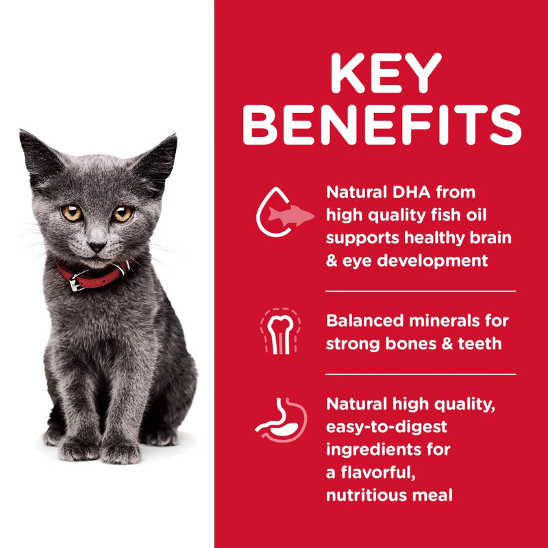 Hill's Science Diet Kitten Indoor Chicken Recipe Dry Cat Food