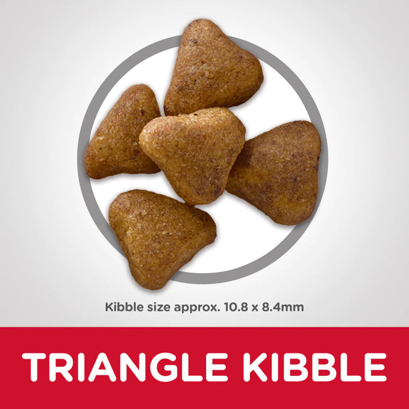 Hill's Science Diet Senior 7+ Indoor Chicken Recipe Dry Cat Food