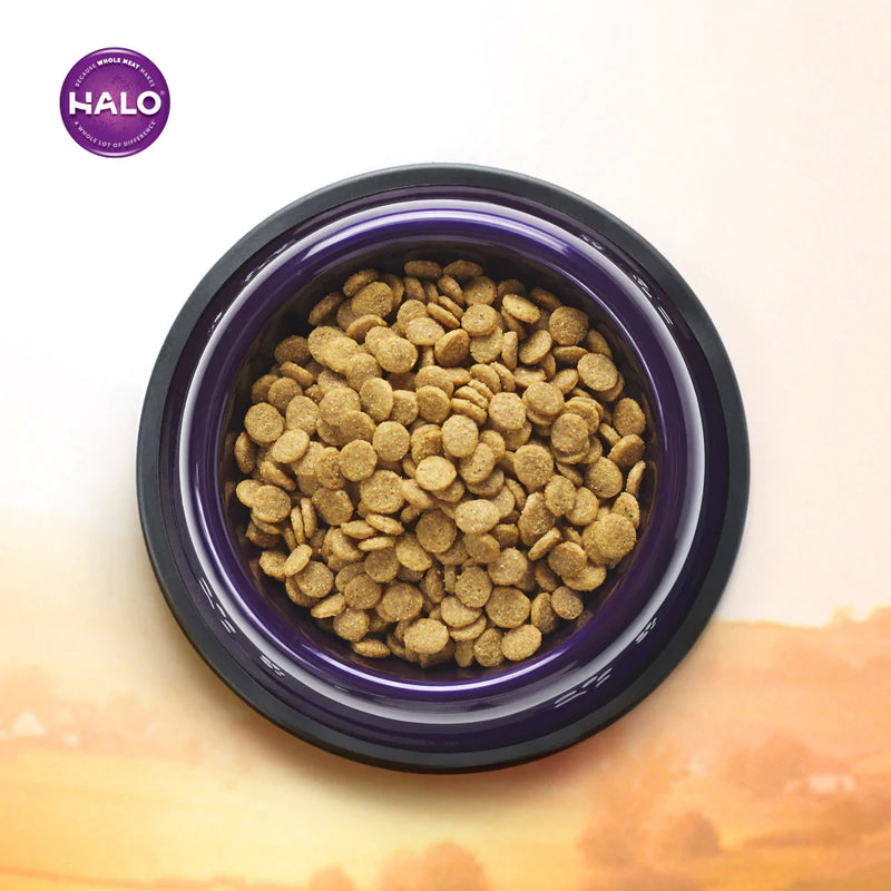 Halo Adult Holistic Wild Salmon & Whitefish Recipe Dry Dog Food