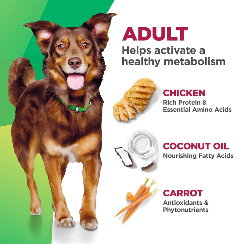 Hill's BIOACTIVE RECIPE Adult Chicken & Barley Dry Dog Food