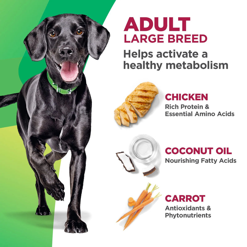 Hill's BIOACTIVE RECIPE Adult Large Breed Chicken & Barley Dry Dog Food