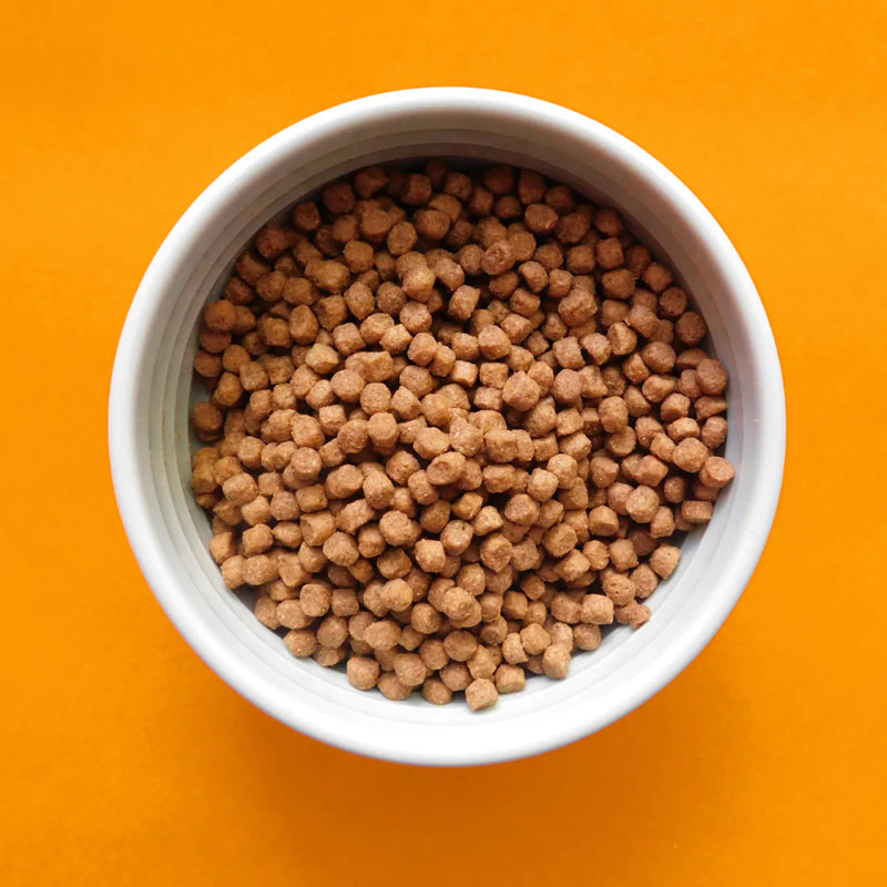 Fromm Gold Healthy Weight Dry Cat Food