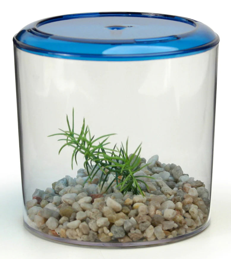 Lee's Aquarium Round Betta Fish Keeper