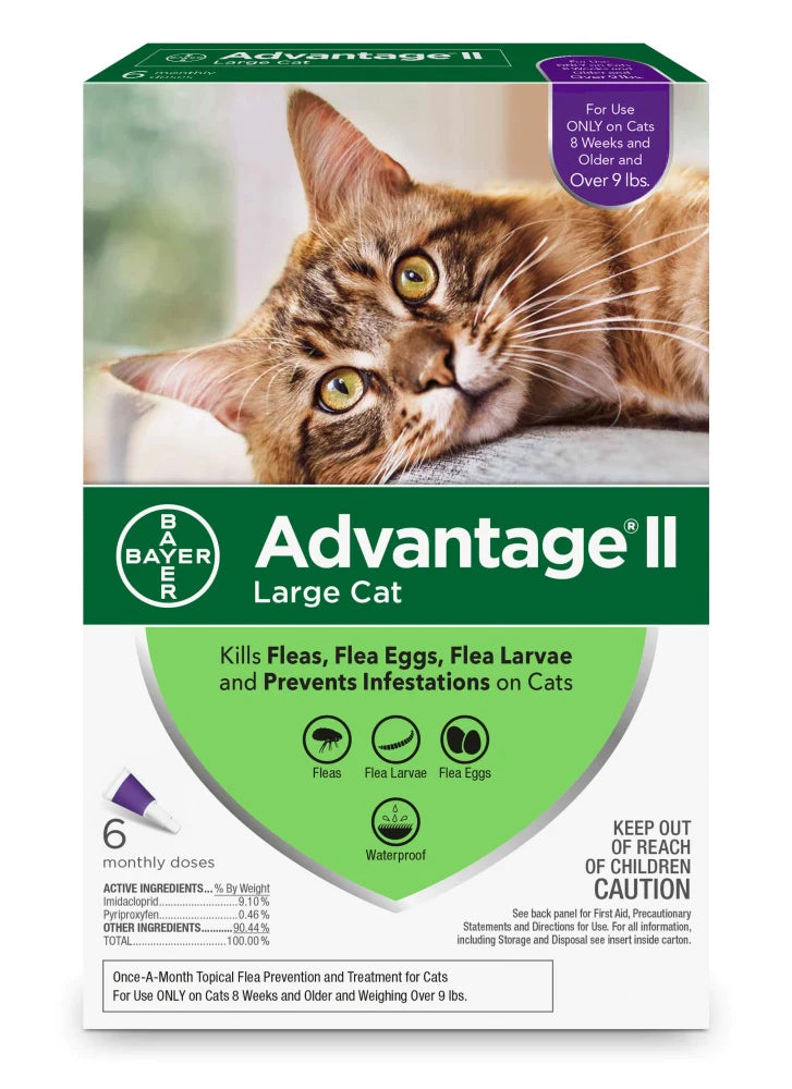 Elanco Advantage II Large Cat