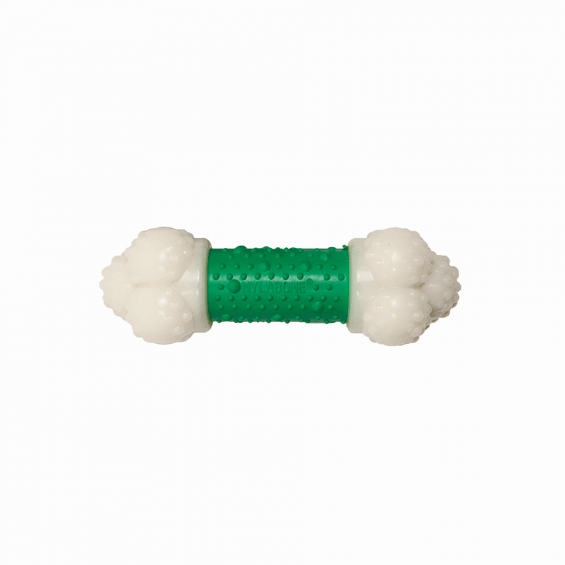 Nylabone DuraChew Double Action Chew Bacon Flavor Dog Toy
