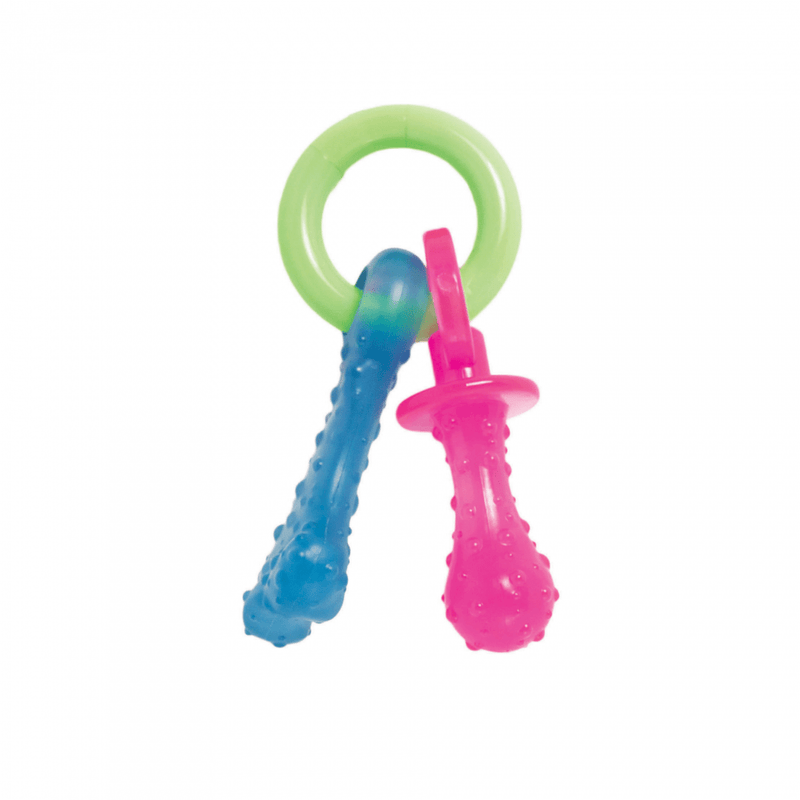Nylabone Puppy Chew Teething Pacifier Dog Toy