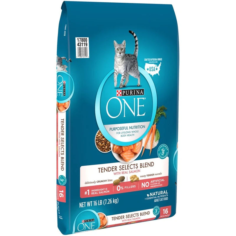 Purina ONE Tender Selects Blend Real Salmon Dry Cat Food