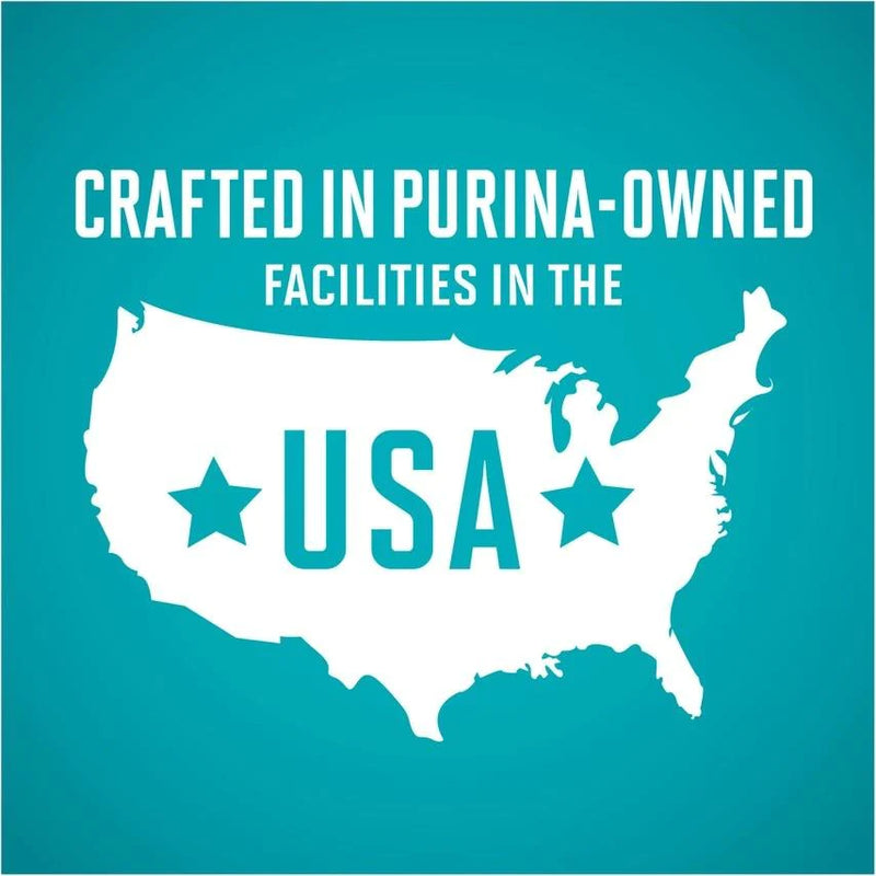 Purina ONE Grain Free Premium Pate Beef Canned Cat Food
