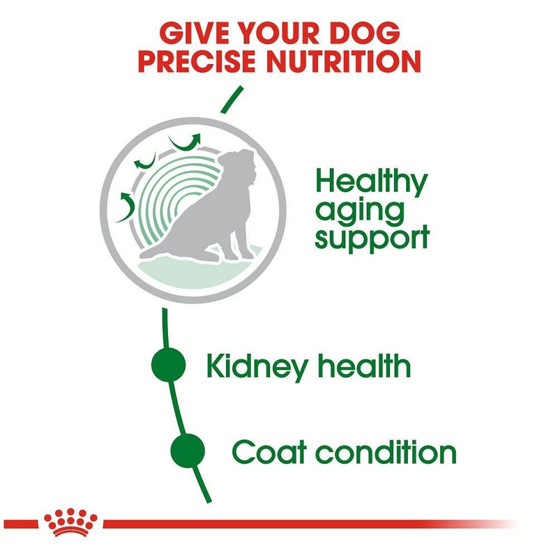 Royal Canin  Size Health Nutrition Small Breed Aging Care +12 Dry Dog Food