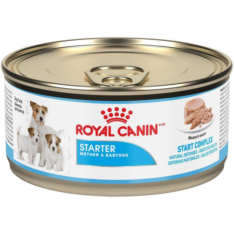 Royal Canin Starter Mousse Multipack Canned Dog Food