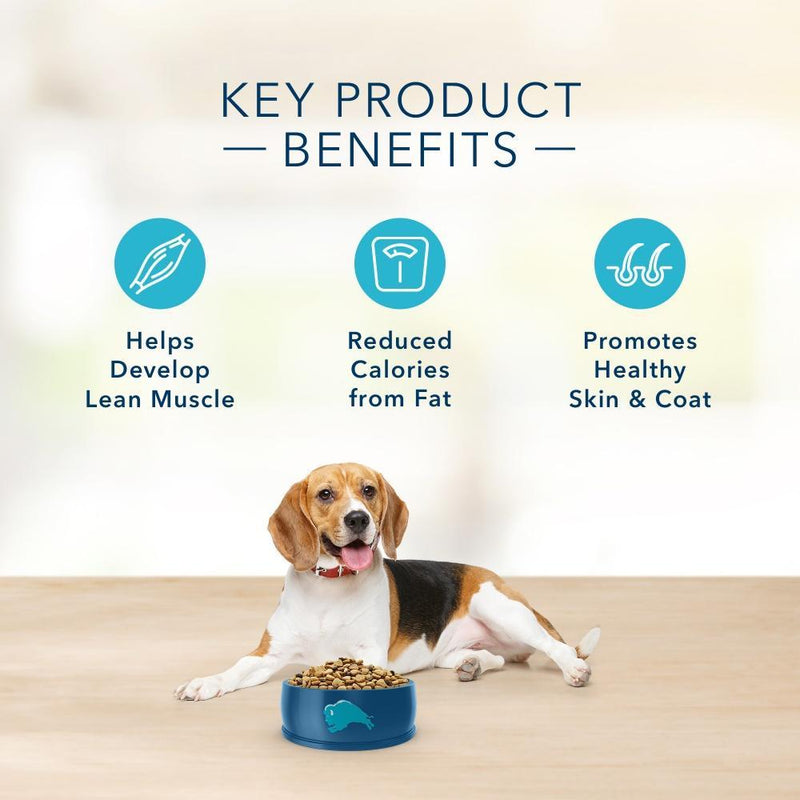 Blue Buffalo Basics Healthy Weight Adult Turkey & Potato Recipe Dry Dog Food