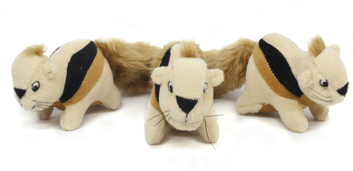 Outward Hound Squeakin Animals Squirrel Plush Dog Toy