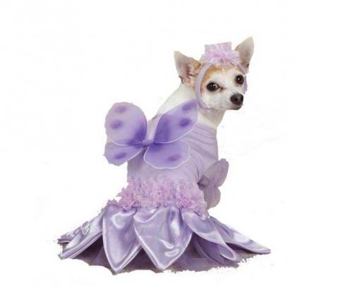 Sugar Plum Fairy Dog Costume