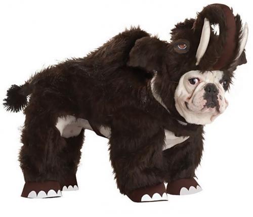 Animal Planet Wooly Mammoth Dog Costume