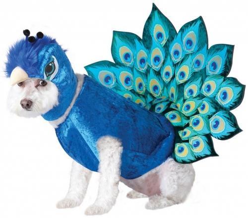 Animal Planet Peacock Dog Costume