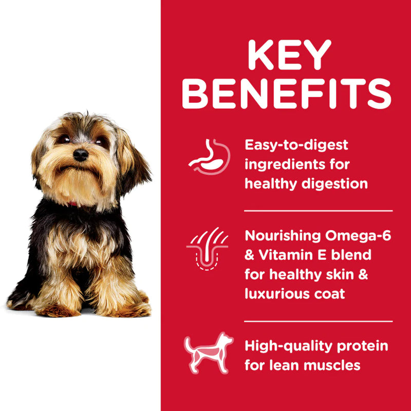 Hill's Science Diet Adult Small Paws Lamb Meal & Brown Rice Recipe  Dry Dog Food
