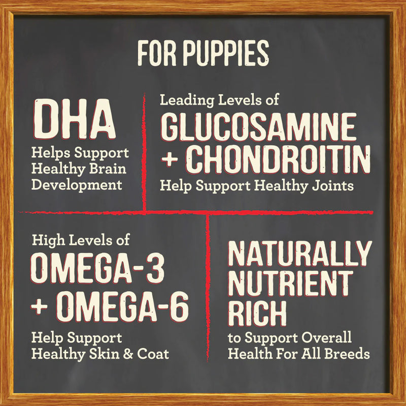 Merrick Grain Free Puppy Chicken Recipe Dry Dog Food
