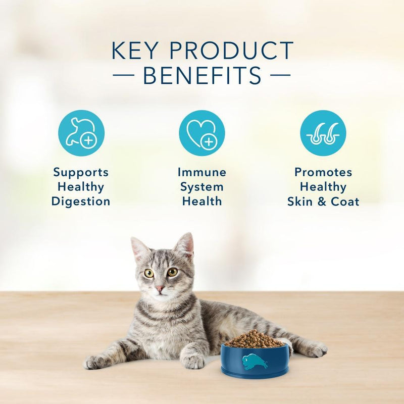 Blue Buffalo Basics Grain Free Adult Indoor Duck & Potato Recipe Dry Cat Food