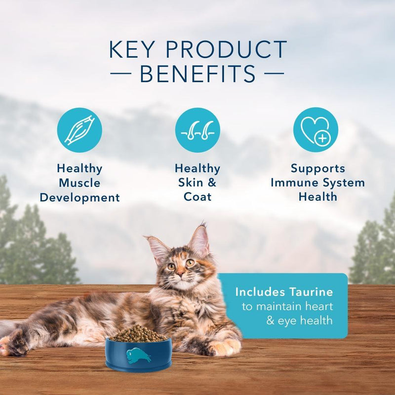 Blue Buffalo Wilderness Rocky Mountain Grain Free Trout High Protein Recipe Adult Dry Cat Food