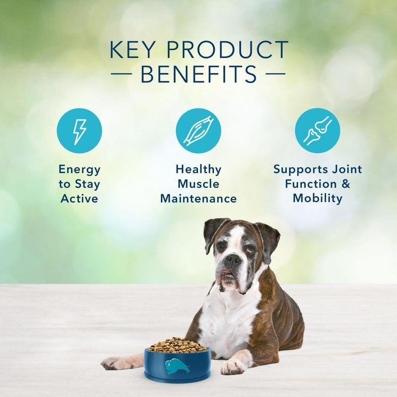 Blue Buffalo Freedom Senior Chicken Recipe Dry Dog Food
