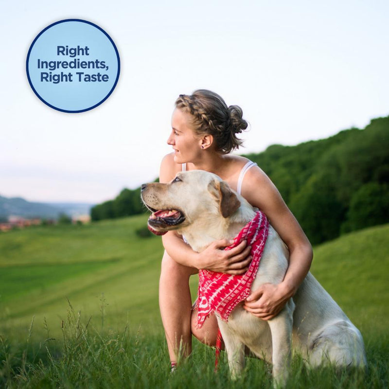 Natural Balance Limited Ingredient Diets Mini Jumpin Stix Chicken & Sweet Potato Formula with Glucosamine & Chondroitin Dog Treats