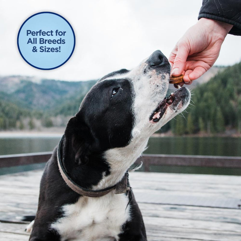 Natural Balance Limited Ingredient Diets Mini Jumpin Stix Chicken & Sweet Potato Formula with Glucosamine & Chondroitin Dog Treats