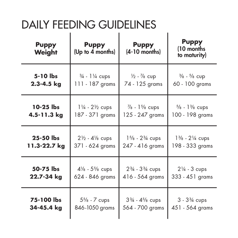 Canidae Grain Free PURE  Chicken, Lentil & Whole Egg Recipe Dry Dog Food
