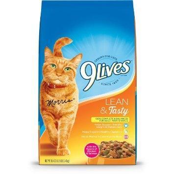 9 Lives Lean and Tasty Dry Cat Food