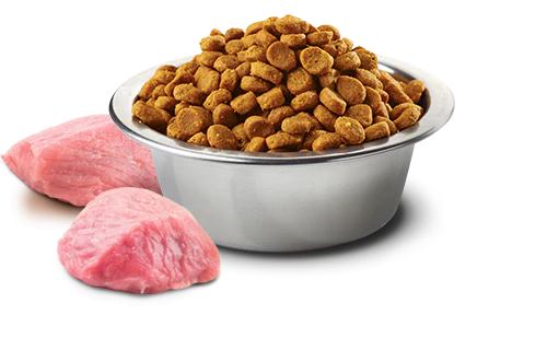 Farmina Prime N&D Natural & Delicious Grain Free Medium Adult Lamb & Blueberry Dry Dog Food