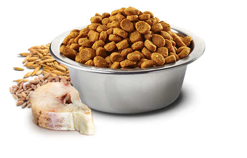 Farmina Ocean N&D Natural & Delicious Medium & Maxi Adult Cod, Spelt, Oats & Orange Dry Dog Food