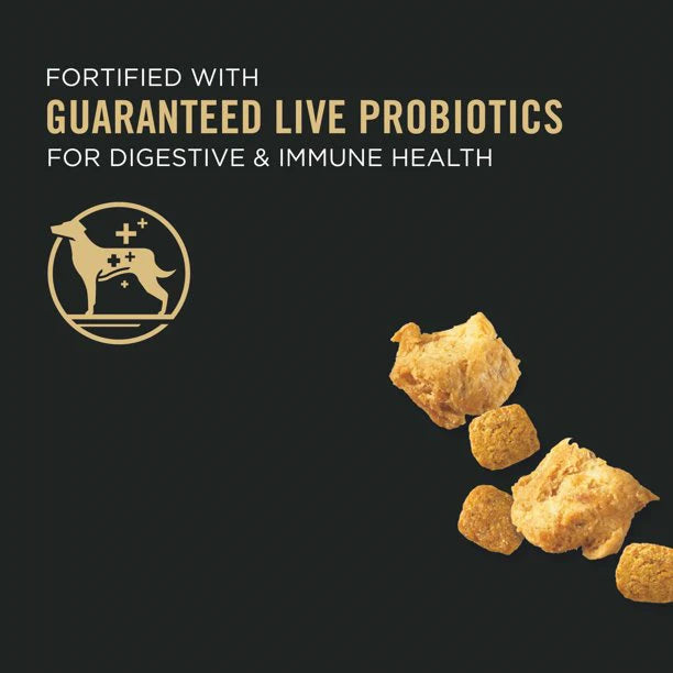 Purina Pro Plan Savor Adult Shredded Blend Small Breed Chicken & Rice Formula Dry Dog Food
