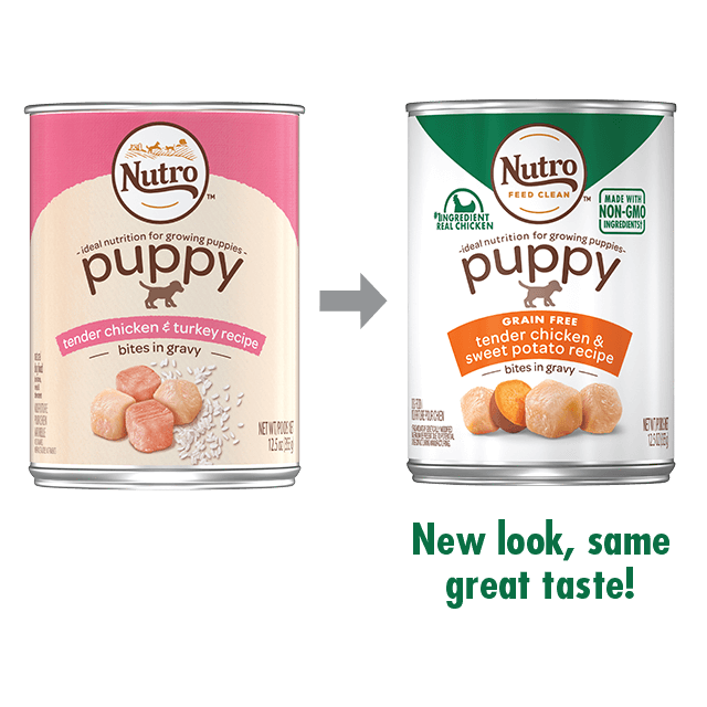Nutro Bites in Gravy Tender Chicken & Sweet Potato Canned Puppy Food