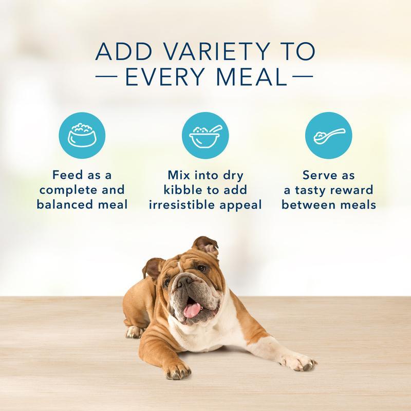 Blue Buffalo Basics Limited Ingredient Diet Grain Free Adult Duck & Potato Canned Dog Food
