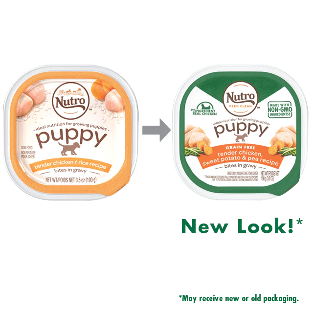 Nutro Puppy Tender Chicken & Rice Recipe Cuts In Gravy Dog Food Trays