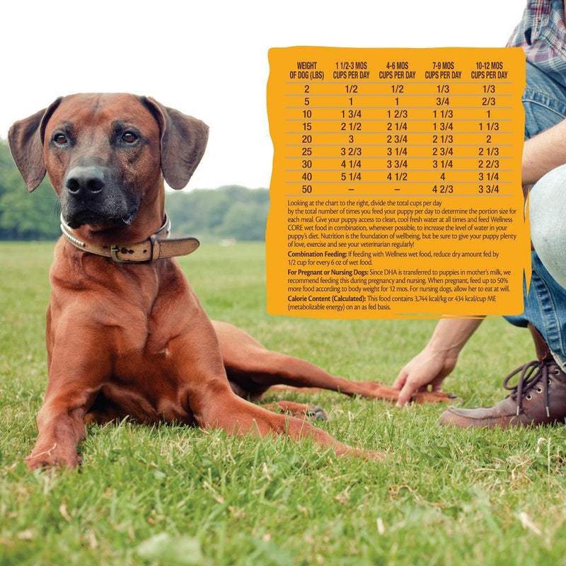 Wellness CORE Grain Free Tender Bites Puppy Recipe Meal or Mixer Dry Dog Food