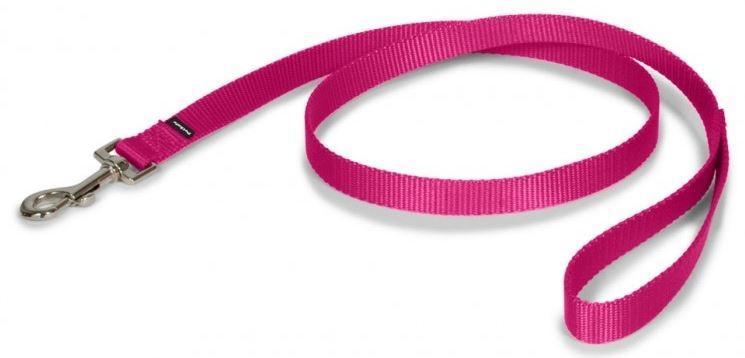 PetSafe Premier Raspberry Nylon Dog Leash