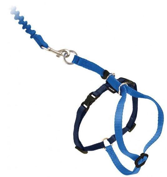 PetSafe Come with Me Kitty Royal Blue & Navy Harness and Bungee Leash for Cats