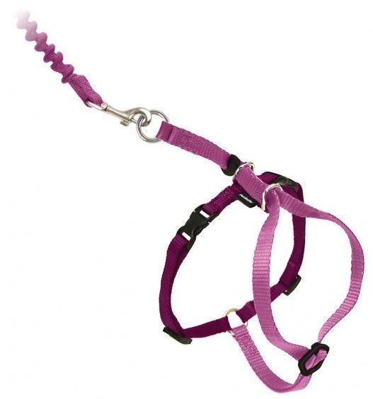 PetSafe Come with Me Kitty Dusty Rose & Burgundy Harness and Bungee Leash for Cats