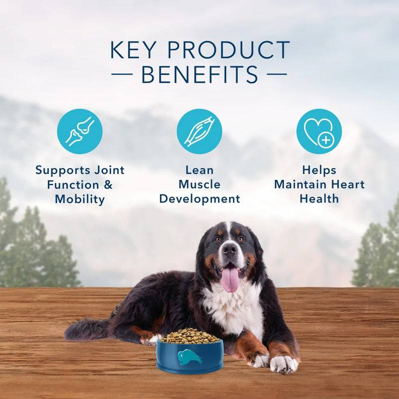 Blue Buffalo Wilderness High Protein Salmon Recipe Large Breed Dry Dog Food