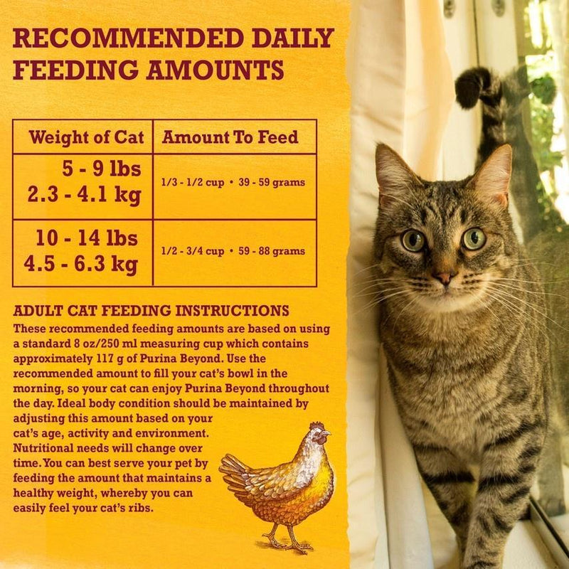 Purina Beyond Simply White Meat Chicken & Whole Oat Meal Recipe Dry Cat Food