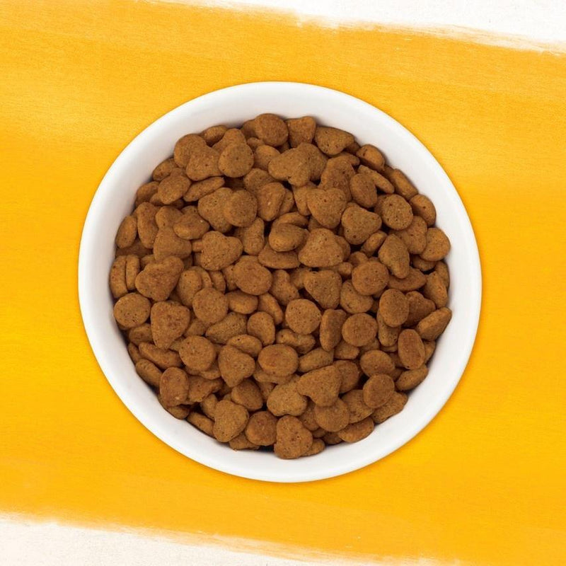 Purina Beyond Simply White Meat Chicken & Whole Oat Meal Recipe Dry Cat Food