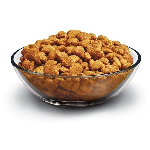 Purina Dog Chow Natural Chicken & Beef Plus Vitamins and Minerals Dry Dog Food