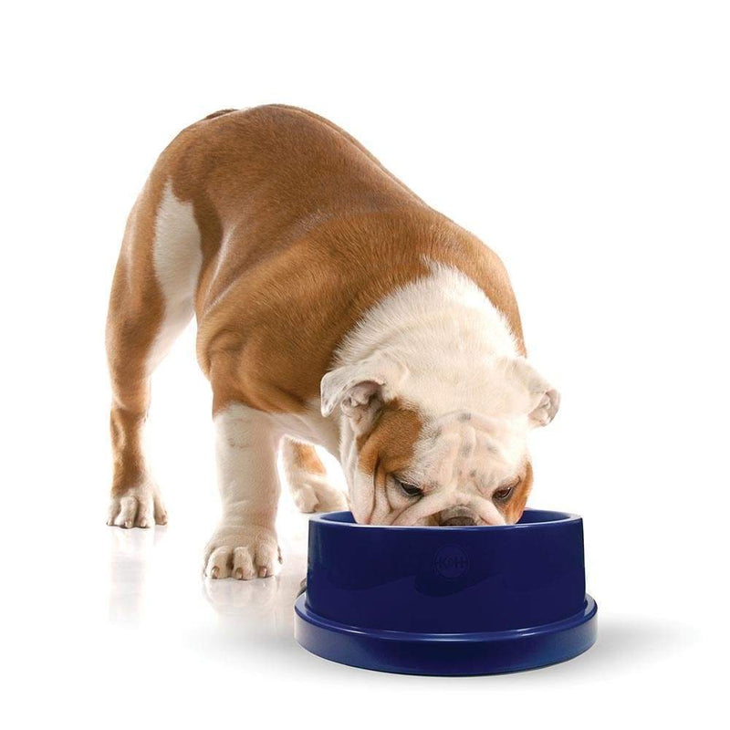 K&H Pet Products Blue Coolin' Pet Bowl