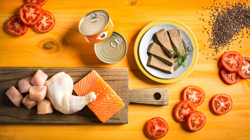 Fromm Four Star Grain Free Chicken & Salmon Pate Canned Cat Food