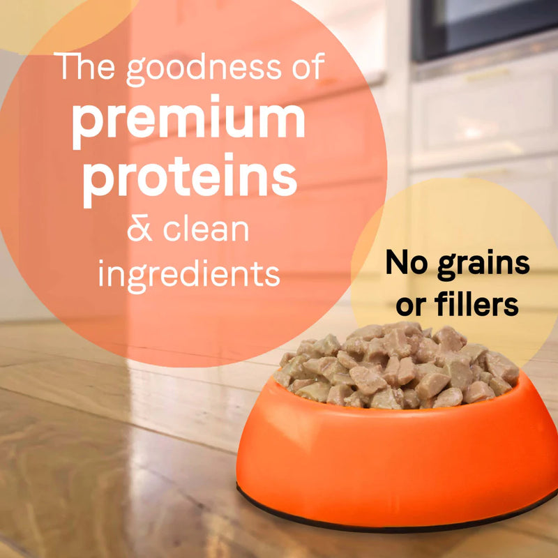 Canidae Grain Free PURE Petite Small Breed Cacciatore Style Dinner Morsels with Lamb and Carrots in Sauce Wet Dog Food