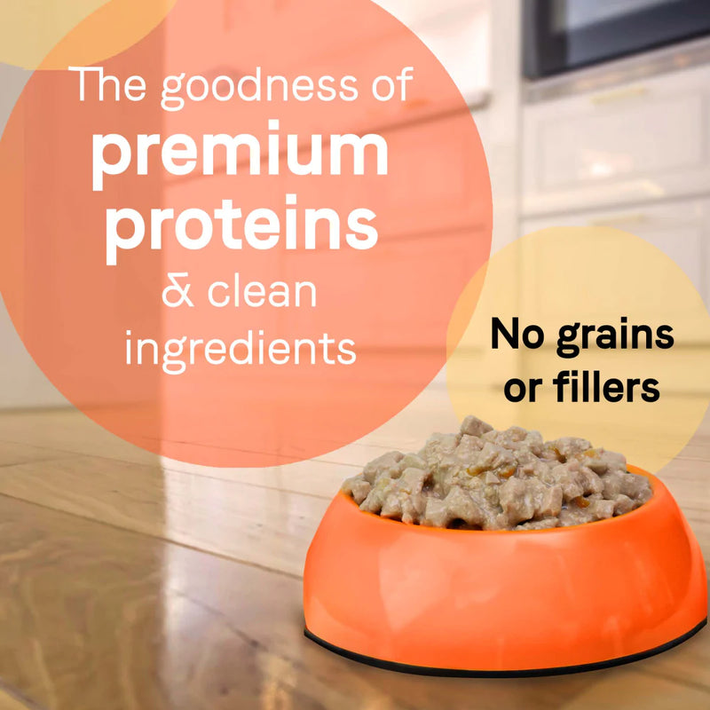Canidae Grain Free PURE Petite Small Breed Escalloped Style Dinner Pate with Salmon and Shrimp Wet Dog Food
